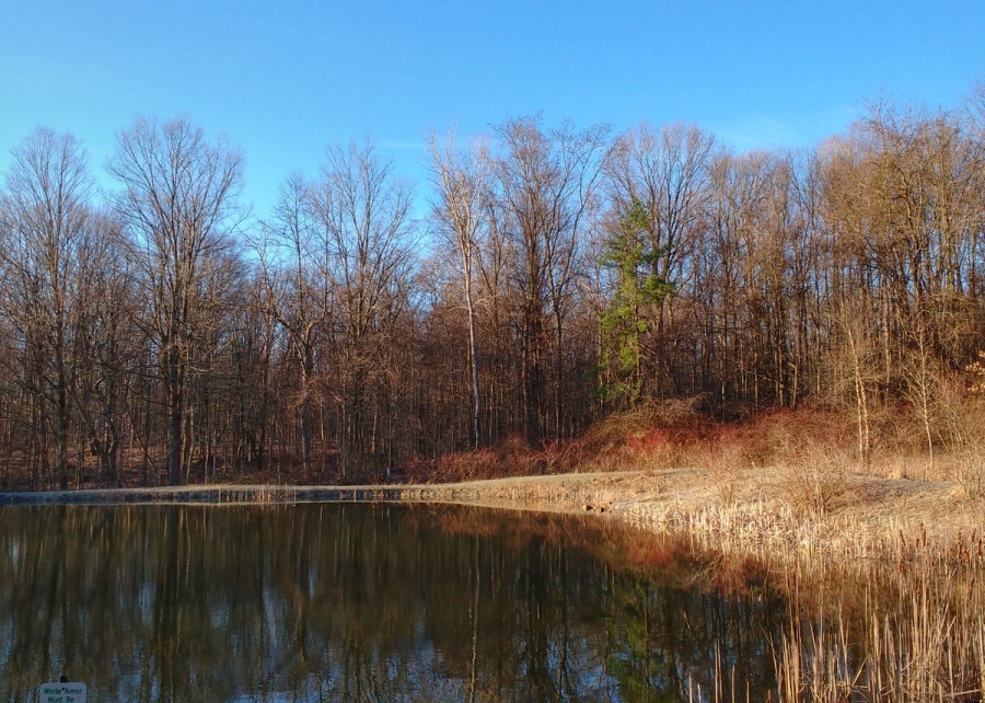 plum Creek first pond-01