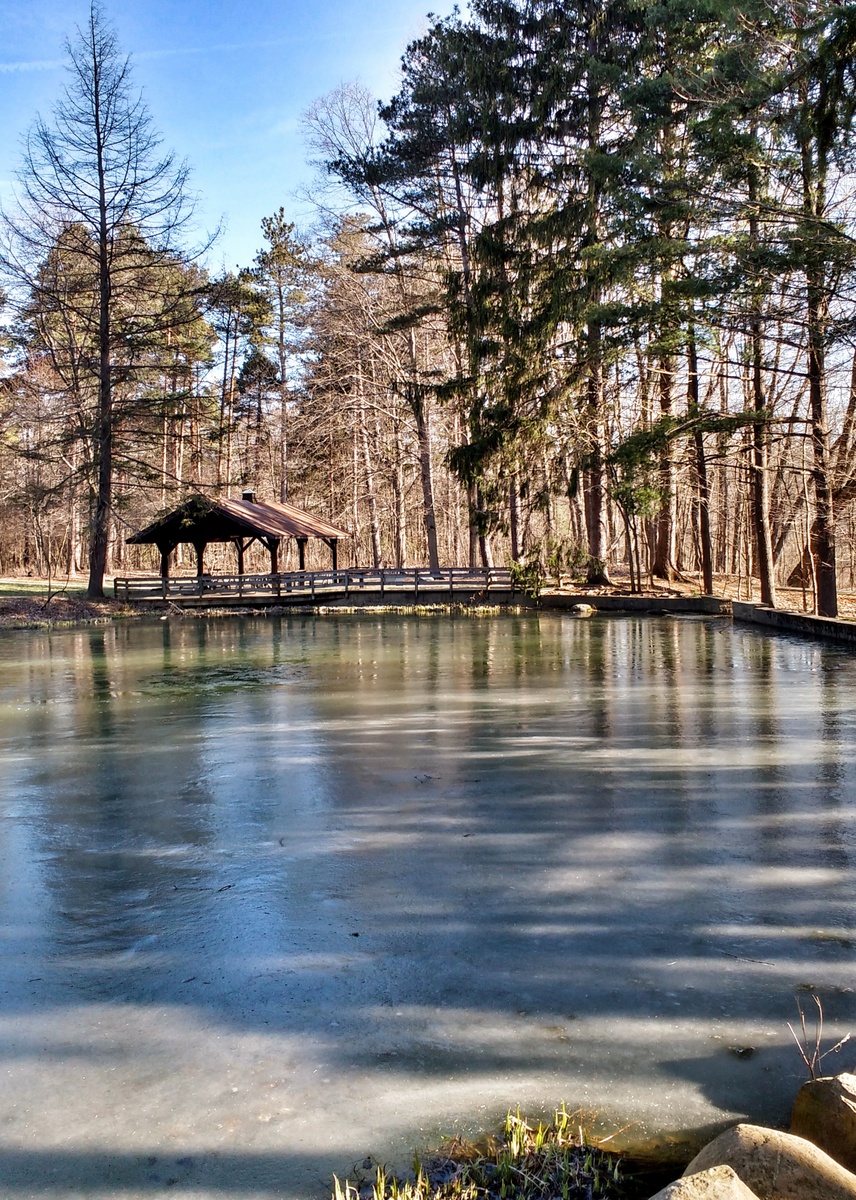 plum Creek frozen pond-01